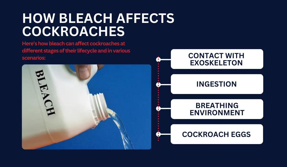 HOW BLEACH AFFECTS COCKROACHES