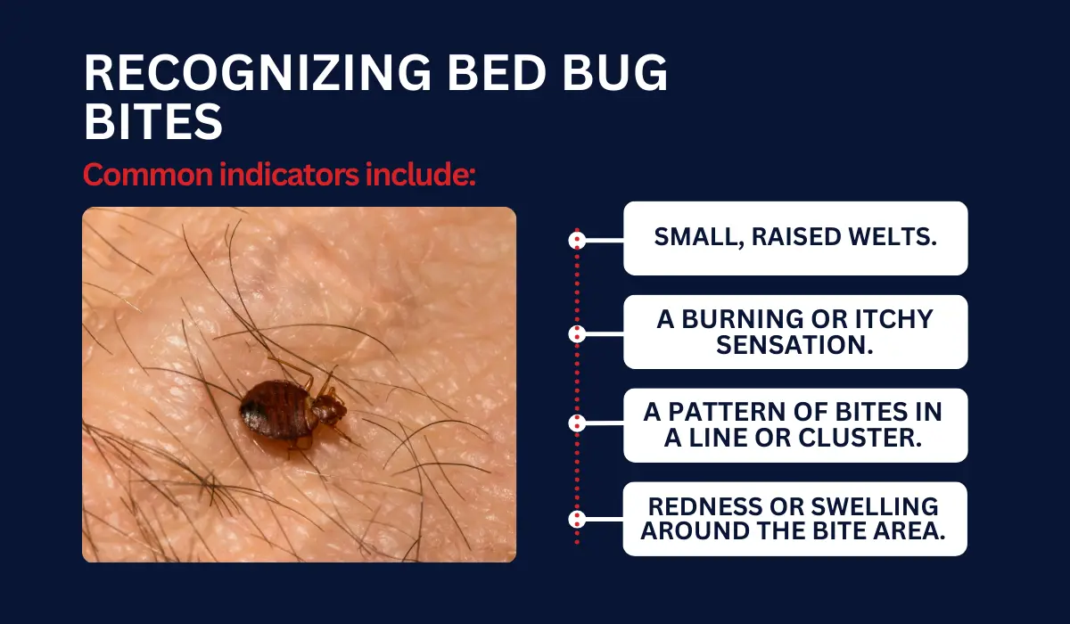 Recognizing Bed Bug Bites