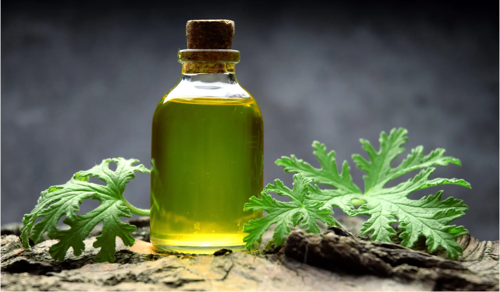 Citronella Oil