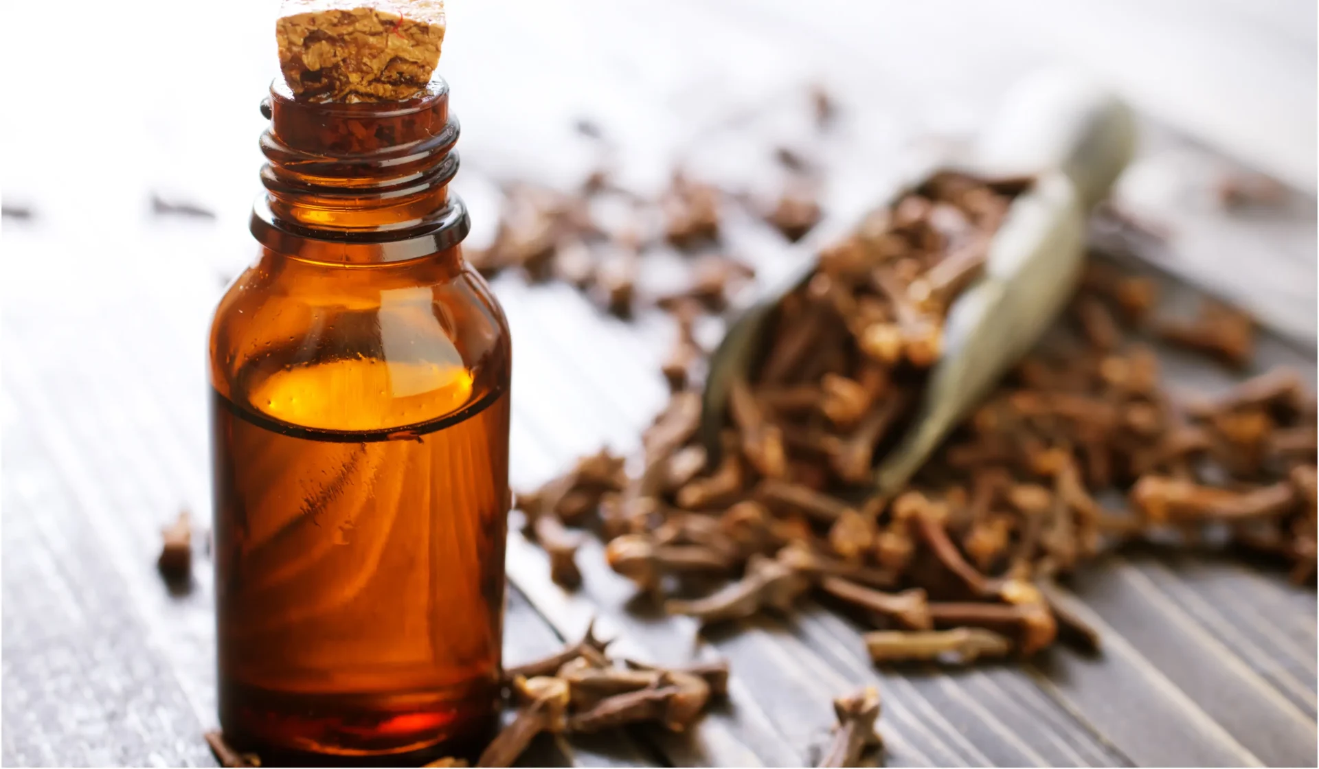 Clove Oil