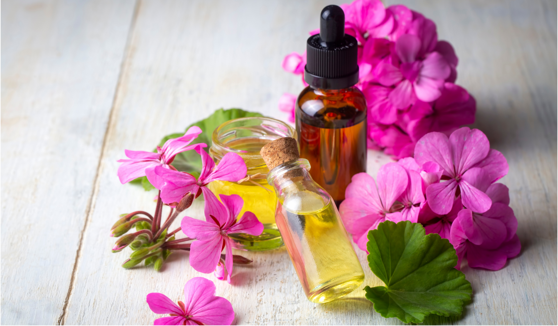 geranium oil