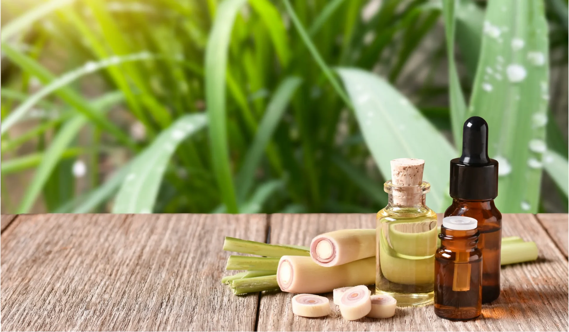 Lemongrass Oil