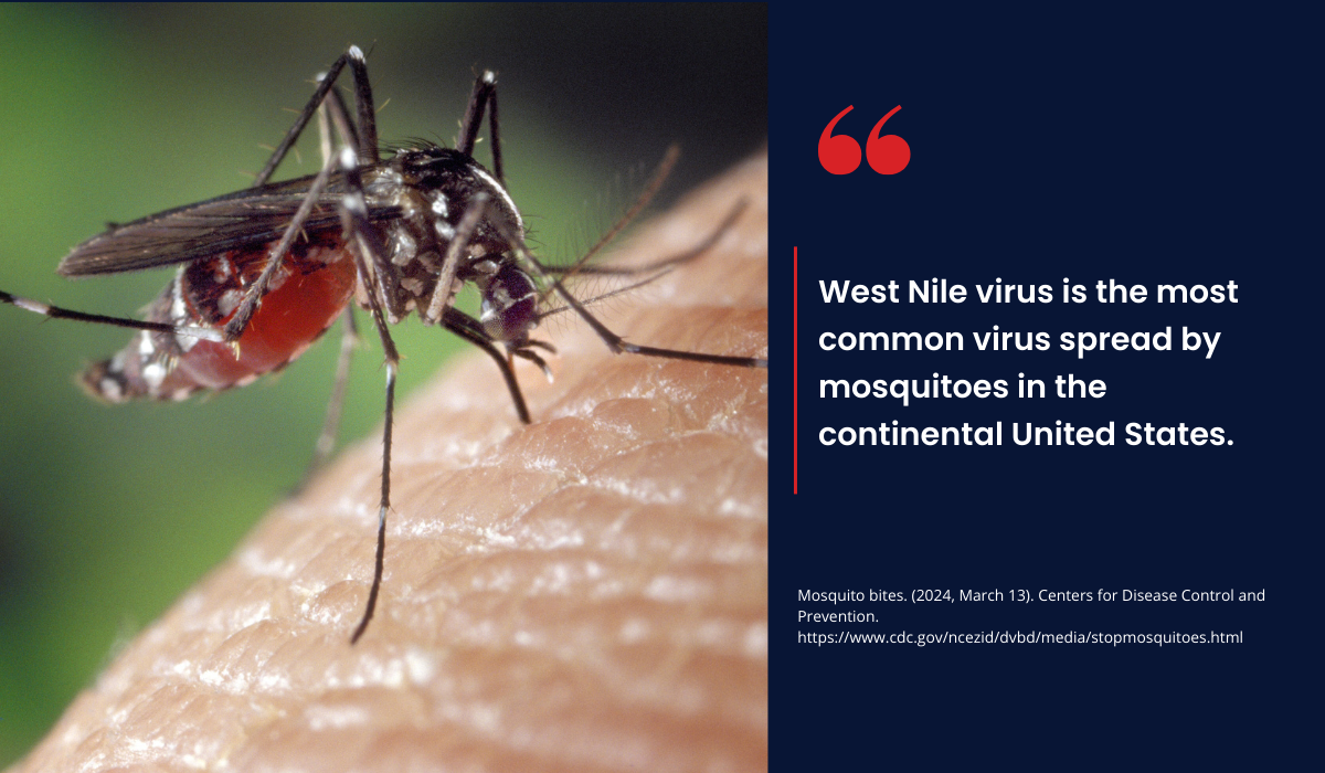 west nile mosquito virus
