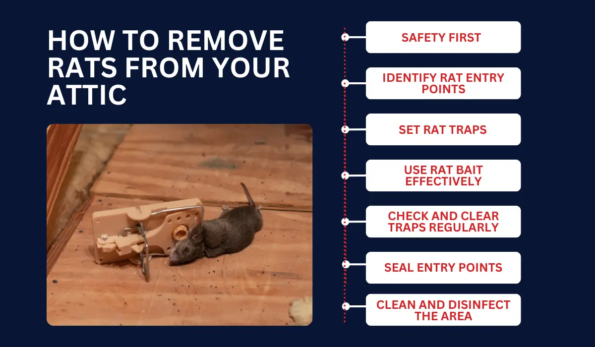 How Do You Get Rid of Rats in the Attic: Proven Solutions