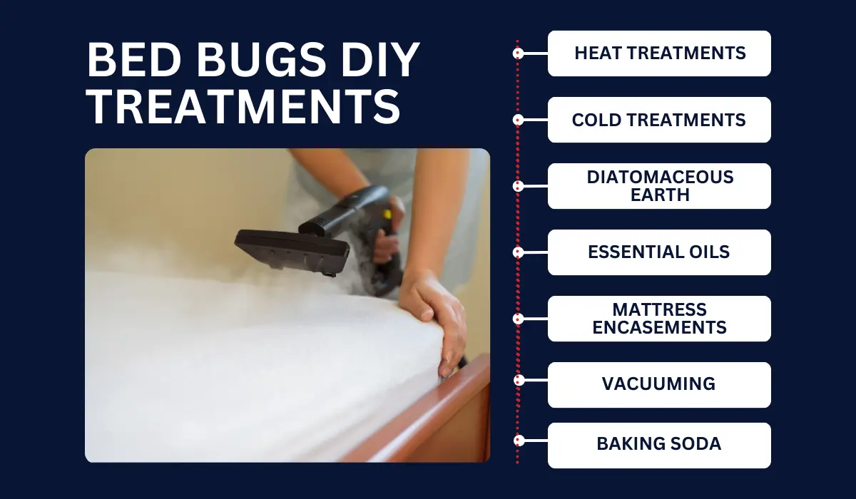 HOW TO GET RID OF BED BUGS WITH DIY TREATMENTS