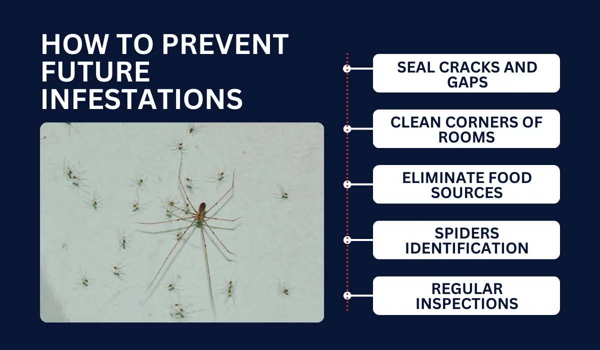 HOW TO PREVENT FUTURE INFESTATIONS