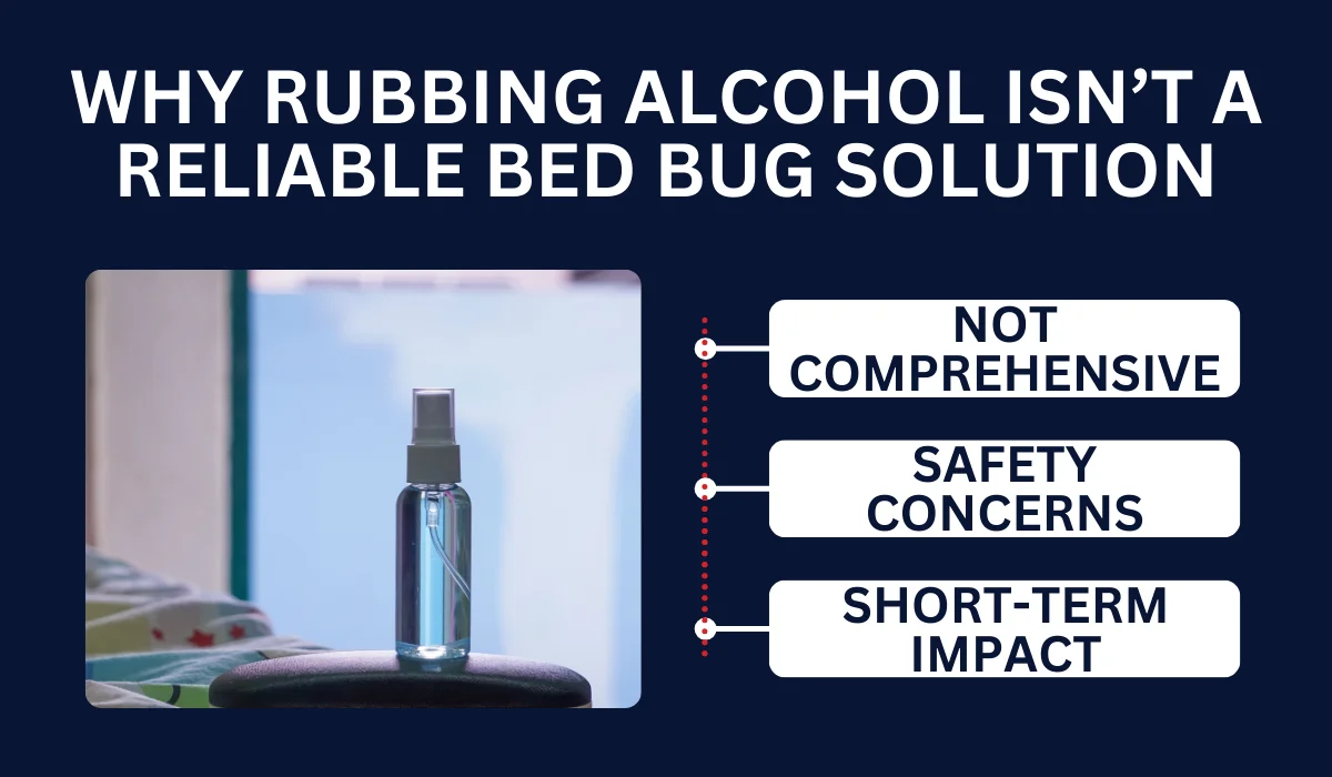 WHY RUBBING ALCOHOL ISN’T A RELIABLE BED BUG SOLUTION