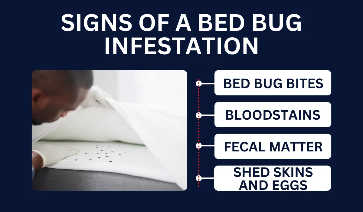 SIGNS OF A BED BUG INFESTATION