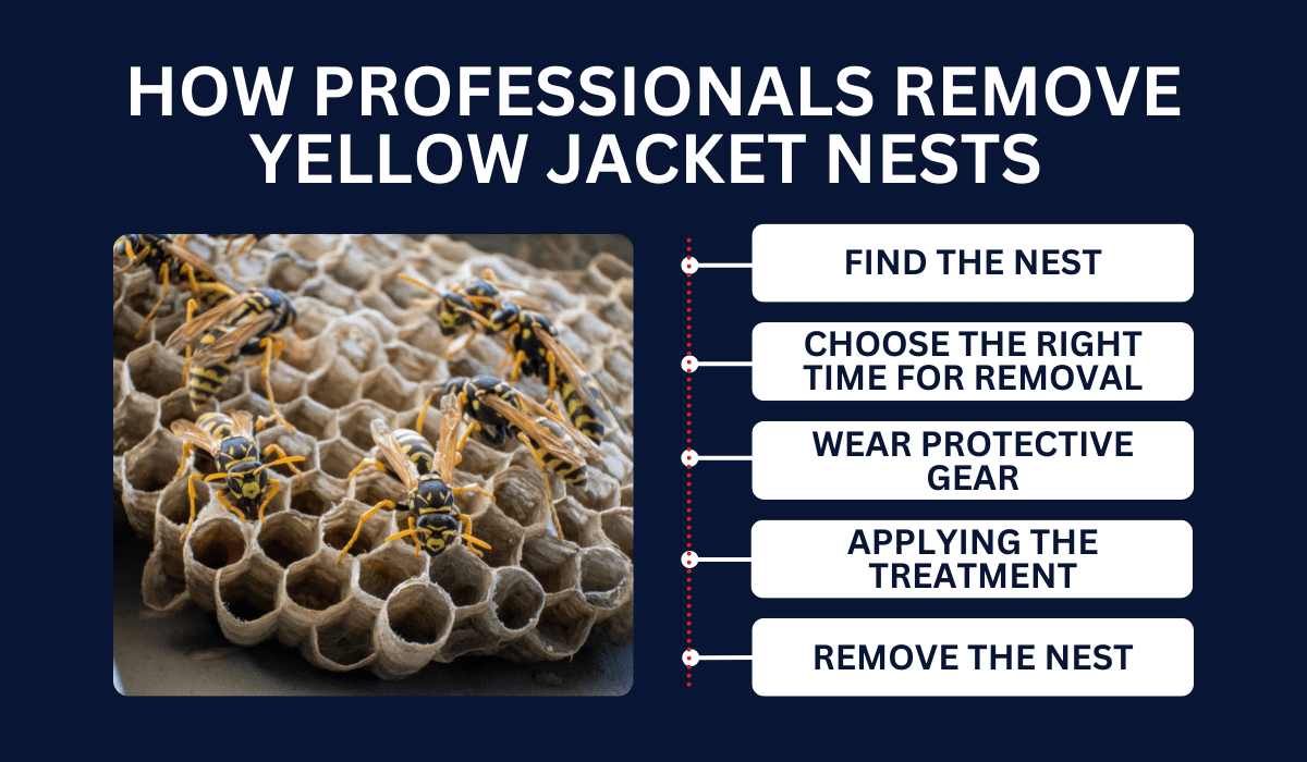 HOW PROFESSIONALS REMOVE YELLOW JACKET NESTS