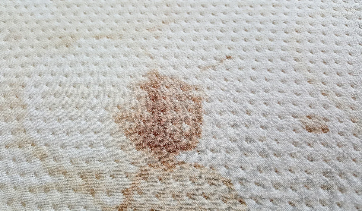 Blood Stains
