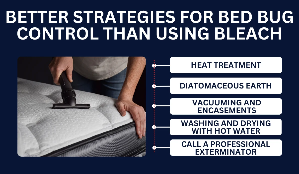 Better Strategies For Bed Bug Control Than Using Bleach