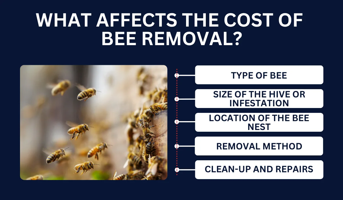 What Affects The Cost Of Bee Removal
