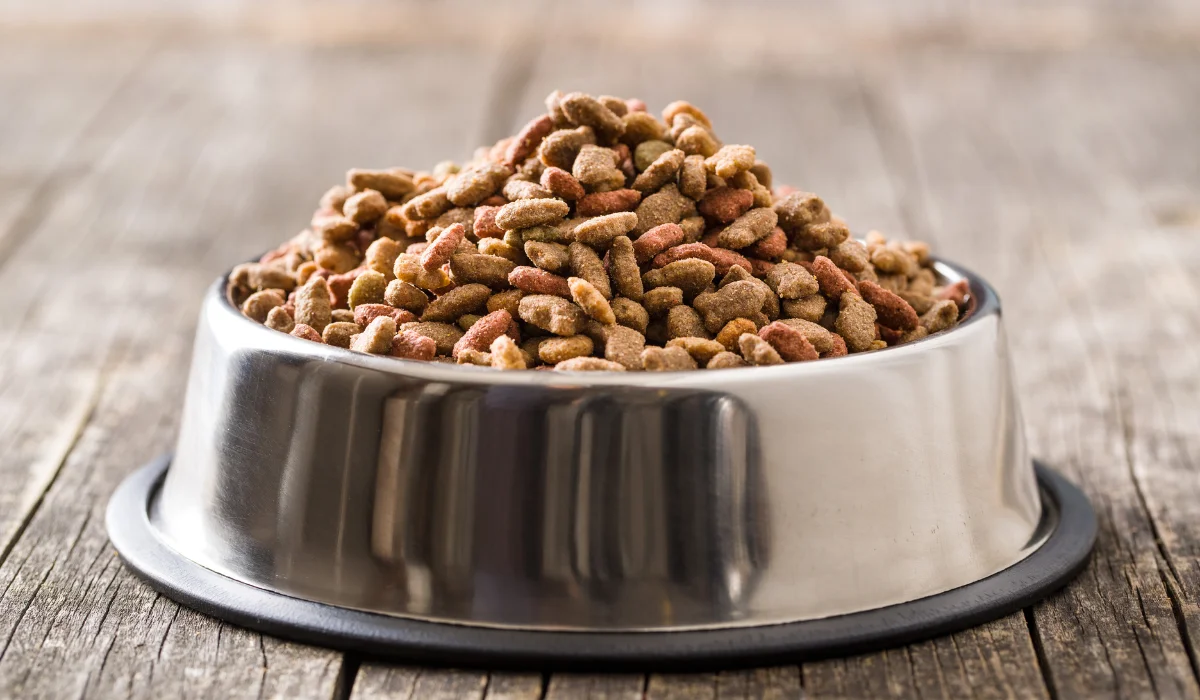 pet food