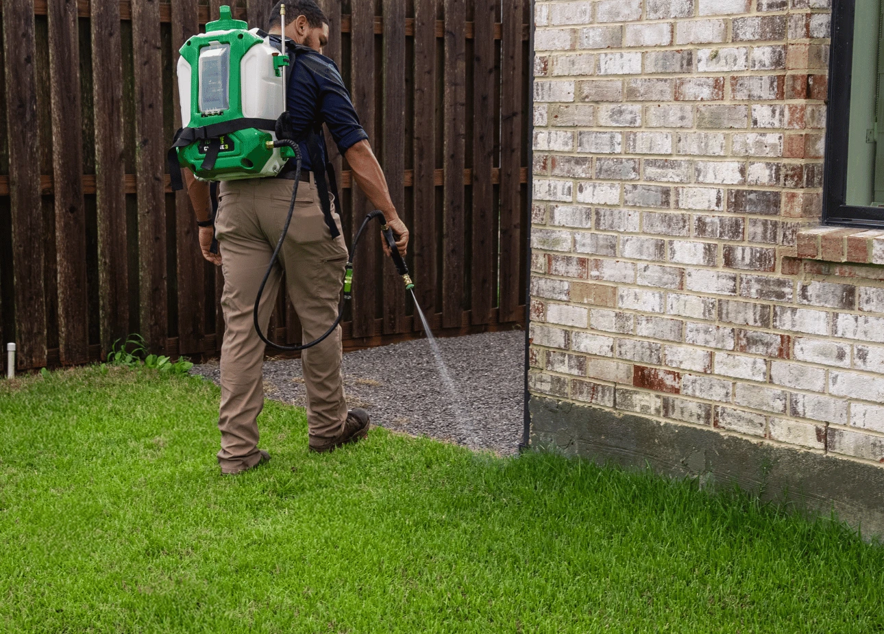 Termite control process Louisiana