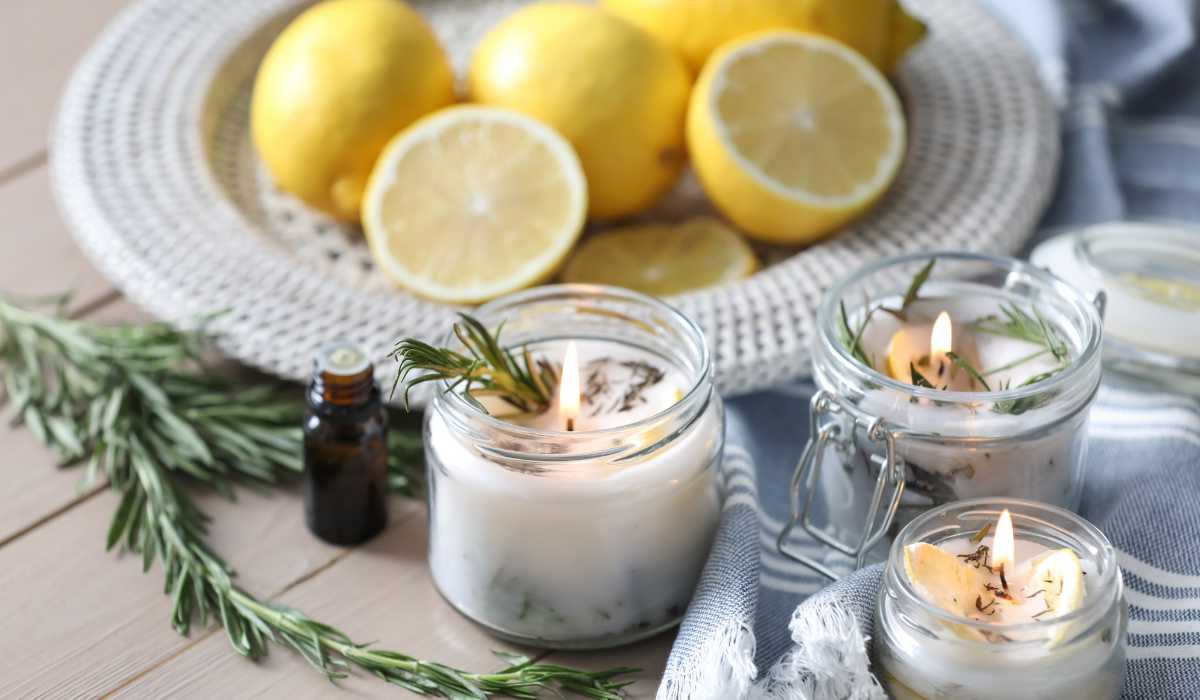 Homemade Fly Repellent: Signs, Risks, and Control